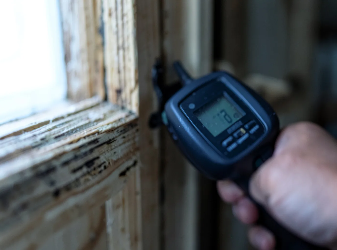 Moisture Inspection And Documentation in Radnor, OH